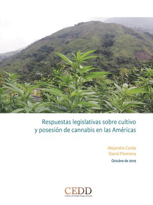 cover image of Respuestas legislativas sobre cultivo y posesión de cannabis en las Américas